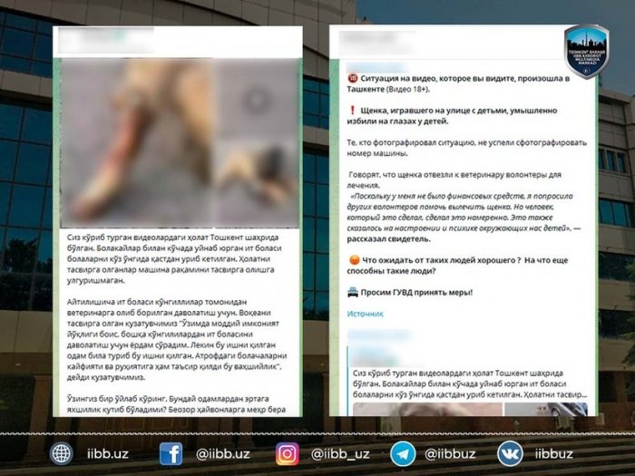 ИИББ шафқатсизлик акс этган видеога муносабат билдирди