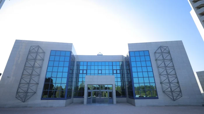 Урсанг, эт қотади, сўксанг, бет