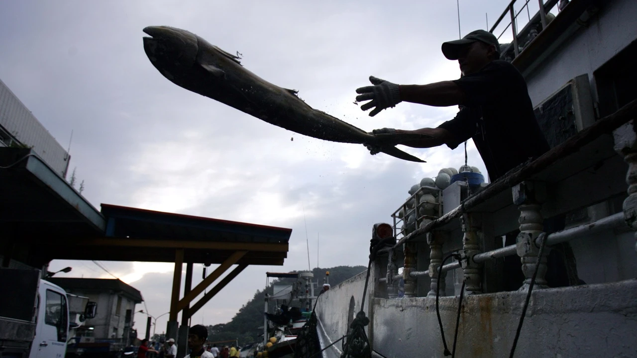 “Замонавий қуллик”: мажбурий меҳнат ёки мажбурий никоҳни бошдан кечираётганлар