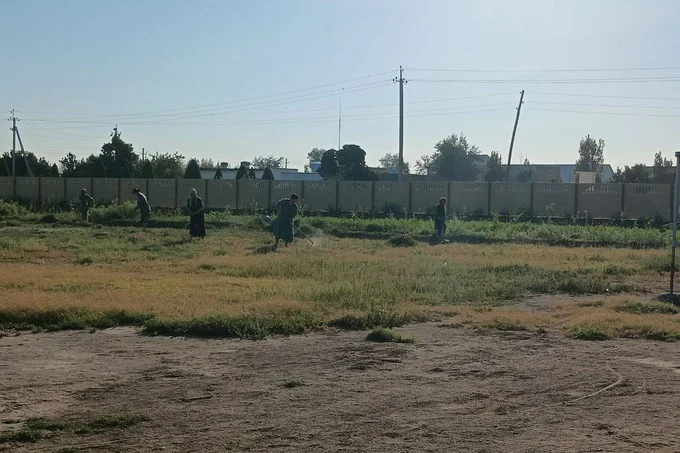 Хоразмда директор ўқитувчиларга мактабни тозалаттиргани учун жаримага тортилди