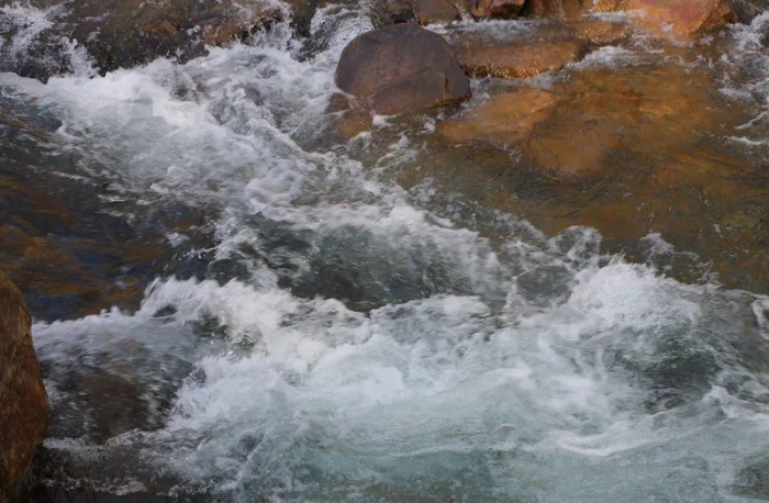 Ўзбекистонда сув муаммосига нималар сабаб бўлаётгани очиқланди