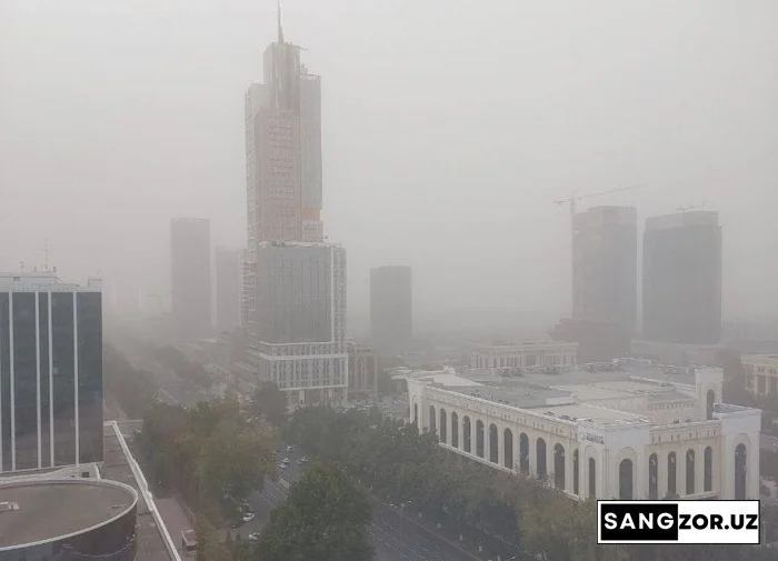 Тошкентда кучли чанг-тўзон: сабаб нима ва у қачонгача чўзилади?