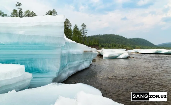 Олимлар абадий музликлар бўйича хавотирли тадқиқотни эълон қилди