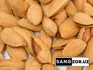 Олимлар бодомнинг оздириш хусусиятини аниқладилар