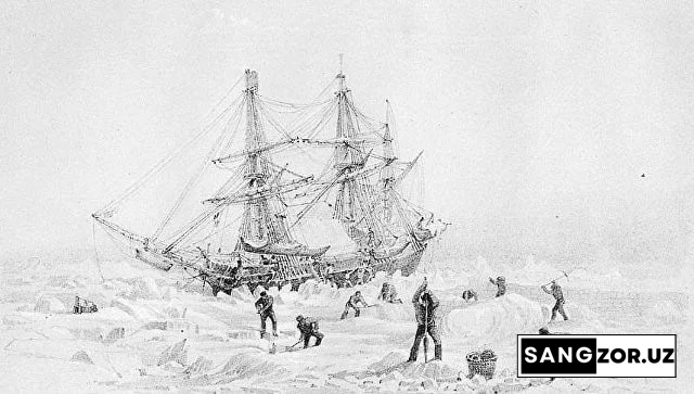 1845 йилда чўкиб кетган «Эребус» кемасидан сочли тароқ топилди
