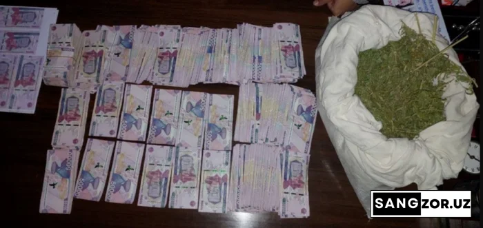 Самарқандда нашафурушлар қўлга олинди