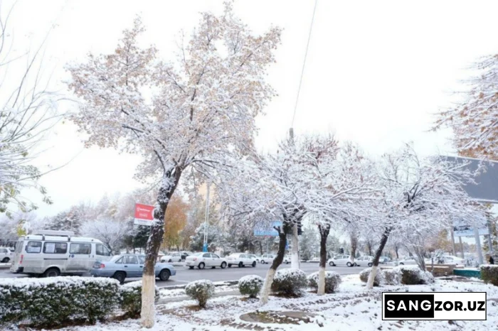Мамлакатга совуқ кириб келмоқда. Синоптиклар бу ҳафтада кутилаётган аёз ҳақида огоҳлантиришмоқда