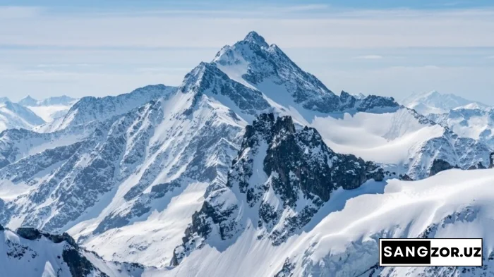Олимлар: Алп музликларининг учдан бири тез орада йўқолиб кетади