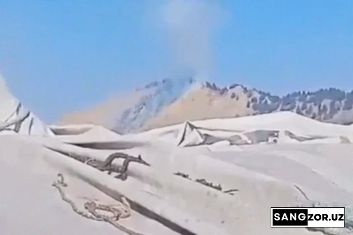 Афғонистонга қулаган самолёт: тирик қолганлардан бири қишлоққа ўзи етиб борган