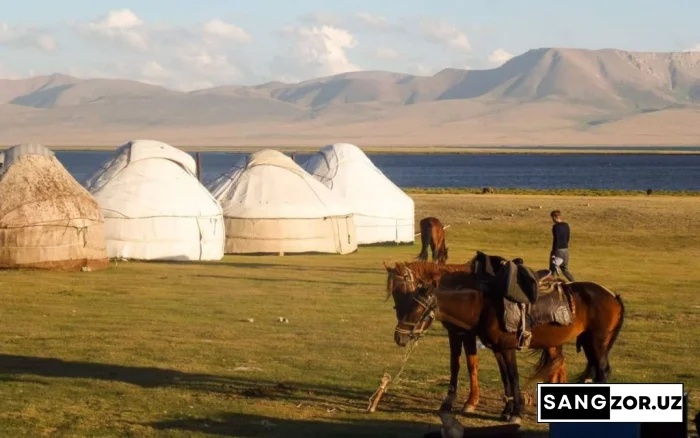 Янги йўналишлар ва сайёҳлик кластери. Қорақалпоғистонда туризм қандай ривожлантирилади?