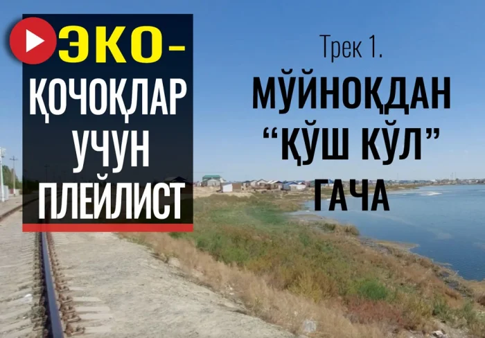 Мўйноқдан "Қўш кўл"гача ёхуд эко қочқинлар қисмати