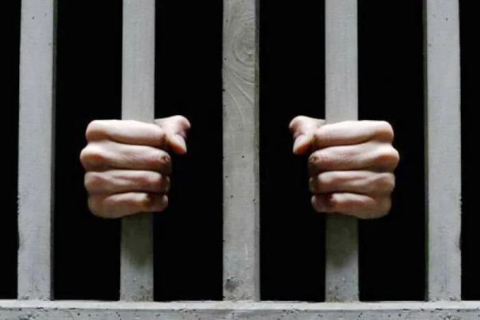 Товламачилик қилган блогер қамалди