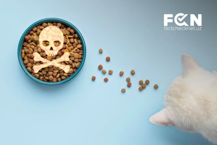 O‘zbekistonda mushuklar ozuqasidan xavfli zahar topildimi?