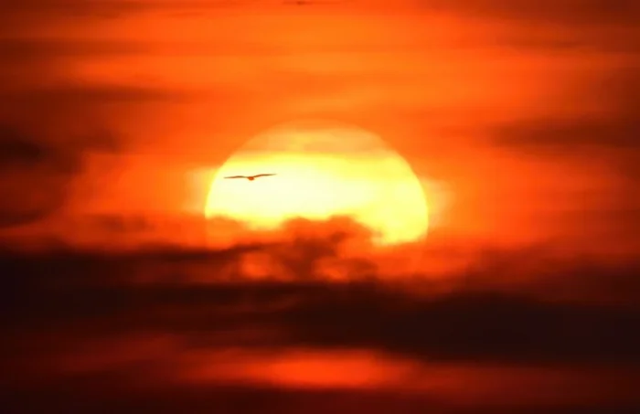 Олимлар Қуёш қачон “ўлишини” маълум қилди: Ерга нима бўлади