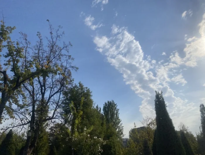 Дам олиш кунлари ўзбекистонликларни илиқ ва қуруқ об-ҳаво кутмоқда