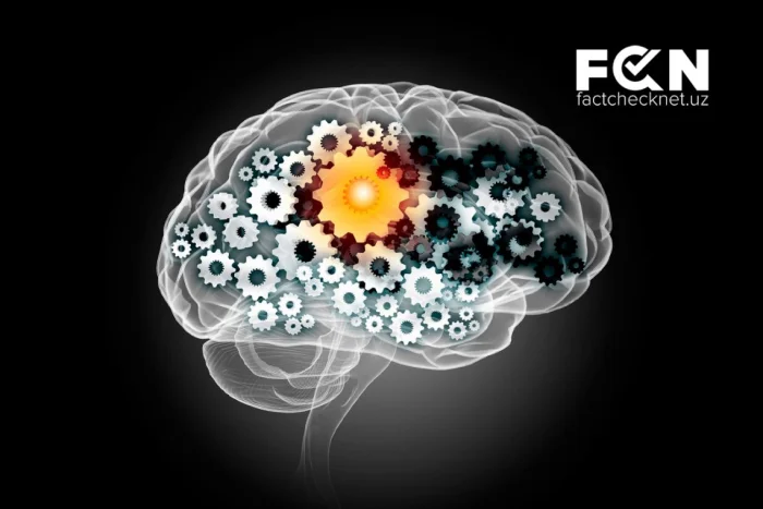 Kognitiv buzilishlar: miya bizni aldaganda