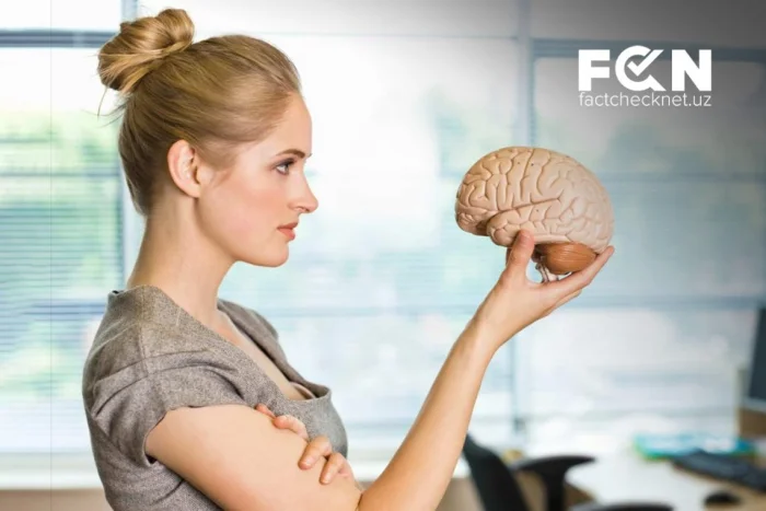 Neyroseksizm: gender stereotiplarini mustahkamlovchi miya haqidagi afsonalar