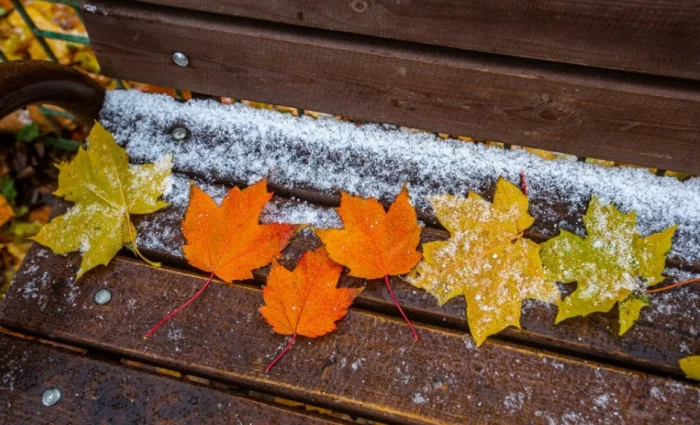 Синоптиклар ўзбекистонликларни ноябрь ойида қандай об-ҳаво кутаётгани маълум қилишган