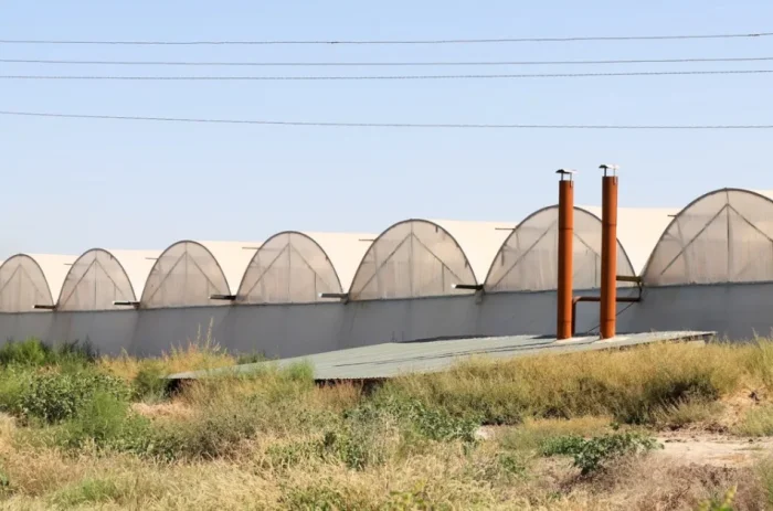 Иссиқхоналар банклар балансига ўтмоқда. Сенатор вазирдан жавоб талаб қилмоқда