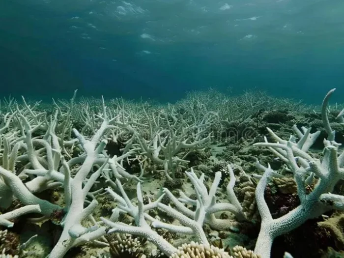 Иқлим ўзгаришлари: инсоният биринчи “қизил чизиқ”дан ўтди