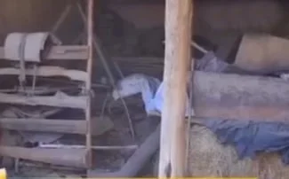 Жиззахдаги сирли ўлим: Суицидми ёки қасддан қотиллик?