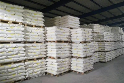 Жиззахда 450 млн долларлик шакар заводи: Энди шакар нархи арзонлайдими ва кимлар иш билан таъминланади?