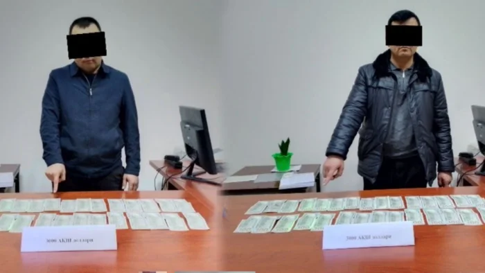 Ер сотиш ва "аукцион ўйинлари": Жиззах ва Қорақалпоғистондаги қўлга олишлар тизимли муаммодан далолатми?