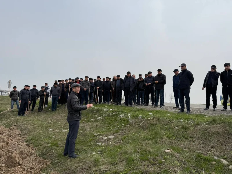 Жиззахдаги «Яшил макон» ташаббуси: Солиқ тизими ходимларининг экологик барқарорликка қўшаётган ҳиссаси қанчалик самарали?