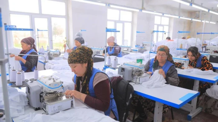 Жиззахда аёллар бандлиги бўйича режа 162 фоизга бажарилди: Бу иқтисодий кўрсаткичлар ортида нима ётибди?